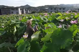 槝盺供#9kaw墍XB娄碗铺? 