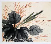 槝盺供#9kaw墍XB娄碗铺? 